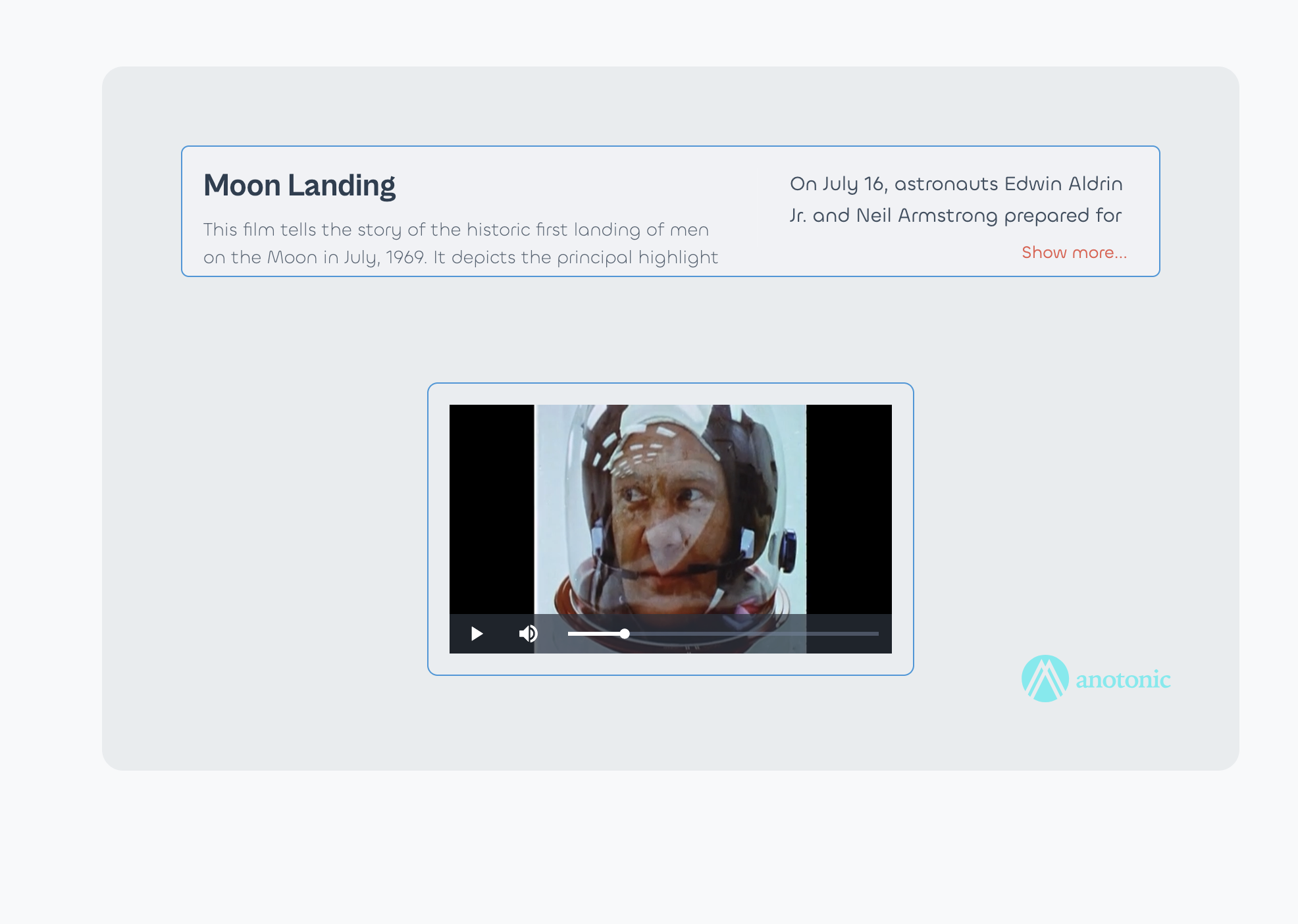 Anotonic Demo Screenshot